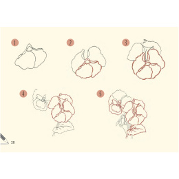 Draw 30: Flowers in der Gruppe Basteln & Hobby / Bücher / Lehrbücher bei Pen Store (137215)