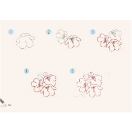 Draw 30: Flowers in der Gruppe Basteln & Hobby / Bücher / Lehrbücher bei Pen Store (137215)