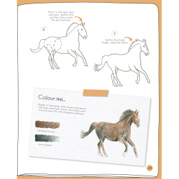 Draw in 10 Minutes: Animals in der Gruppe Basteln & Hobby / Bücher / Lehrbücher bei Pen Store (137218)