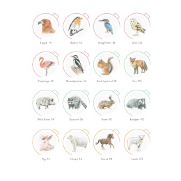 Draw in 10 Minutes: Animals in der Gruppe Basteln & Hobby / Bücher / Lehrbücher bei Pen Store (137218)