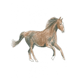 Draw in 10 Minutes: Animals in der Gruppe Basteln & Hobby / Bücher / Lehrbücher bei Pen Store (137218)