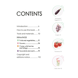 Draw in 10 Minutes: Botanicals in der Gruppe Basteln & Hobby / Bücher / Lehrbücher bei Pen Store (137219)