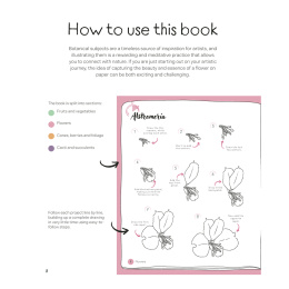 Draw in 10 Minutes: Botanicals in der Gruppe Basteln & Hobby / Bücher / Lehrbücher bei Pen Store (137219)