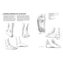 Drawing: A Complete Guide in der Gruppe Basteln & Hobby / Bücher / Inspirationsbücher bei Pen Store (137220)