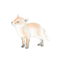 How to Draw: Baby Animals in der Gruppe Basteln & Hobby / Bücher / Lehrbücher bei Pen Store (137223)