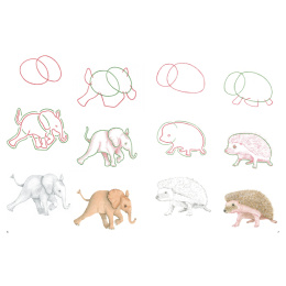 How to Draw: Baby Animals in der Gruppe Basteln & Hobby / Bücher / Lehrbücher bei Pen Store (137223)