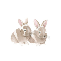 How to Draw: Baby Animals in der Gruppe Basteln & Hobby / Bücher / Lehrbücher bei Pen Store (137223)