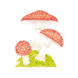 How to Draw: Nature in der Gruppe Basteln & Hobby / Bücher / Lehrbücher bei Pen Store (137224)