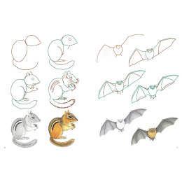 How to Draw: Nature in der Gruppe Basteln & Hobby / Bücher / Lehrbücher bei Pen Store (137224)