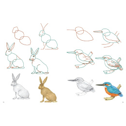 How to Draw: Nature in der Gruppe Basteln & Hobby / Bücher / Lehrbücher bei Pen Store (137224)