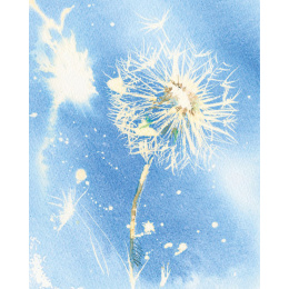 Loose and Lively Flowers in Watercolour, Inks & Mixed Media in der Gruppe Basteln & Hobby / Bücher / Inspirationsbücher bei Pen Store (137226)