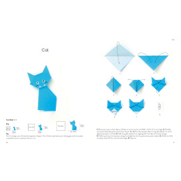 Origami for the Absolute Beginner in der Gruppe Basteln & Hobby / Bücher / Lehrbücher bei Pen Store (137227)