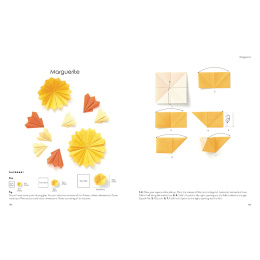 Origami for the Absolute Beginner in der Gruppe Basteln & Hobby / Bücher / Lehrbücher bei Pen Store (137227)