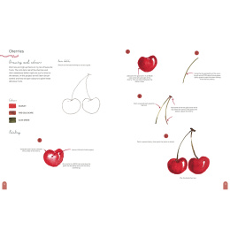 Paint 50: Watercolour Nature in der Gruppe Basteln & Hobby / Bücher / Lehrbücher bei Pen Store (137229)