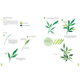 Paint 50: Watercolour Nature in der Gruppe Basteln & Hobby / Bücher / Lehrbücher bei Pen Store (137229)