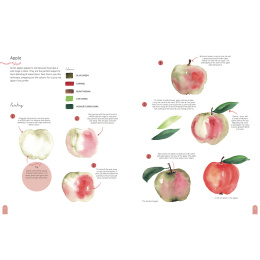 Paint 50: Watercolour Nature in der Gruppe Basteln & Hobby / Bücher / Lehrbücher bei Pen Store (137229)