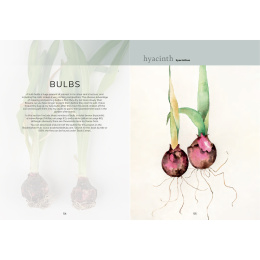 The Colour Mixing Guide: Watercolour Botanicals in der Gruppe Basteln & Hobby / Bücher / Inspirationsbücher bei Pen Store (137234)