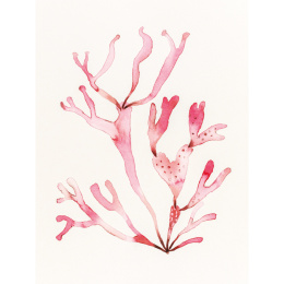 The Colour Mixing Guide: Watercolour Seashore in der Gruppe Basteln & Hobby / Bücher / Inspirationsbücher bei Pen Store (137235)