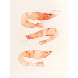 The Colour Mixing Guide: Watercolour Seashore in der Gruppe Basteln & Hobby / Bücher / Inspirationsbücher bei Pen Store (137235)