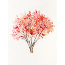 The Colour Mixing Guide: Watercolour Woodland in der Gruppe Basteln & Hobby / Bücher / Inspirationsbücher bei Pen Store (137236)