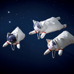 Federtasche Astro Cat Mikeco in der Gruppe Stifte / Schreibwaren / Schreibetuis und weitere Etuis bei Pen Store (137909)