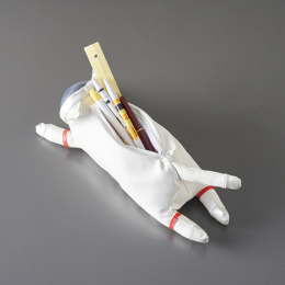 Federtasche Astro Cat Mikeco in der Gruppe Stifte / Schreibwaren / Schreibetuis und weitere Etuis bei Pen Store (137909)