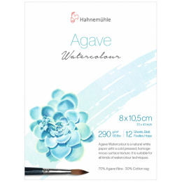 Aquarellpapier Agave 290g CP 8x10,5 cm in der Gruppe Papier & Blöcke / Künstlerblöcke / Aquarellpapier bei Pen Store (138050)
